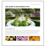 email-template
