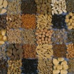 seeds