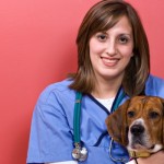 veterinary, animal clinics
